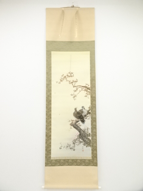 JAPANESE HANGING SCROLL / HAND PAINTED / SAKURA WITH PIGEON 
